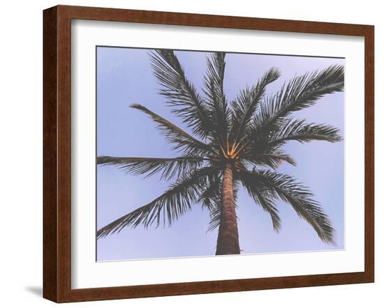 Palm Tree-Amanda Abel-Framed Art Print