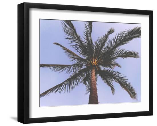 Palm Tree-Amanda Abel-Framed Art Print