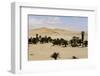 Palm Tree-JasonYU-Framed Photographic Print