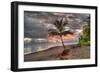 Palm Tree-Robert Kaler-Framed Photographic Print