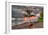 Palm Tree-Robert Kaler-Framed Photographic Print