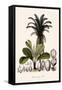 Palm Tree-null-Framed Stretched Canvas