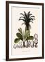 Palm Tree-null-Framed Giclee Print