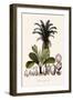 Palm Tree-null-Framed Giclee Print