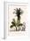 Palm Tree-null-Framed Giclee Print