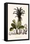 Palm Tree-null-Framed Stretched Canvas