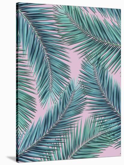 Palm-Tree-Mark Ashkenazi-Stretched Canvas