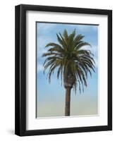 Palm Tree-Matthew Piotrowicz-Framed Art Print