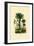 Palm Trees, 1833-39-null-Framed Giclee Print