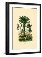 Palm Trees, 1833-39-null-Framed Giclee Print