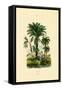 Palm Trees, 1833-39-null-Framed Stretched Canvas