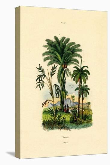 Palm Trees, 1833-39-null-Stretched Canvas