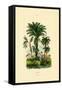 Palm Trees, 1833-39-null-Framed Stretched Canvas