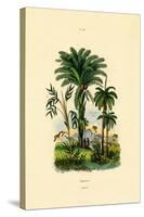 Palm Trees, 1833-39-null-Stretched Canvas