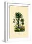 Palm Trees, 1833-39-null-Framed Premium Giclee Print