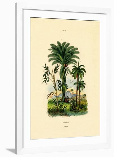 Palm Trees, 1833-39-null-Framed Giclee Print