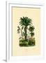 Palm Trees, 1833-39-null-Framed Giclee Print