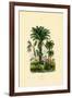 Palm Trees, 1833-39-null-Framed Giclee Print
