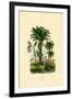 Palm Trees, 1833-39-null-Framed Giclee Print