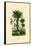 Palm Trees, 1833-39-null-Framed Stretched Canvas