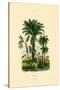 Palm Trees, 1833-39-null-Stretched Canvas