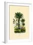 Palm Trees, 1833-39-null-Framed Giclee Print