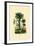 Palm Trees, 1833-39-null-Framed Giclee Print