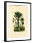 Palm Trees, 1833-39-null-Framed Giclee Print