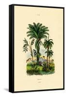 Palm Trees, 1833-39-null-Framed Stretched Canvas
