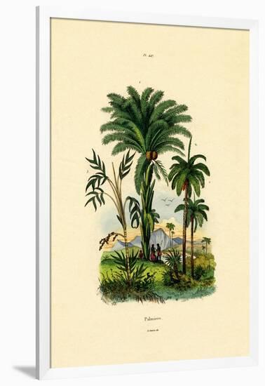 Palm Trees, 1833-39-null-Framed Giclee Print