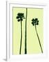 Palm Trees 2000 (Cyan)-Erik Asla-Framed Photographic Print