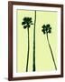 Palm Trees 2000 (Cyan)-Erik Asla-Framed Photographic Print