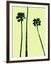 Palm Trees 2000 (Cyan)-Erik Asla-Framed Photographic Print