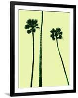 Palm Trees 2000 (Cyan)-Erik Asla-Framed Photographic Print