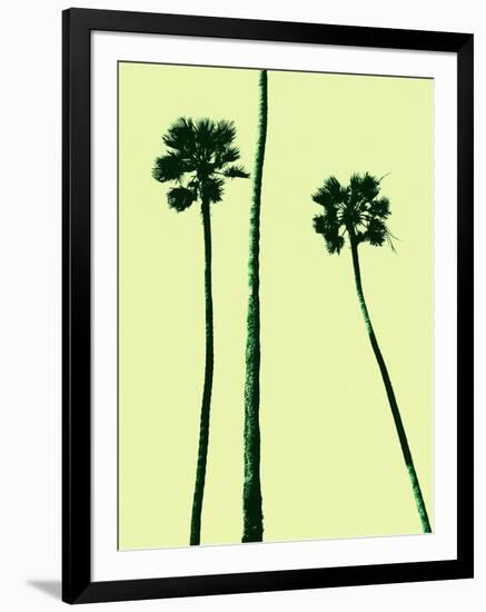 Palm Trees 2000 (Cyan)-Erik Asla-Framed Photographic Print