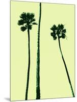 Palm Trees 2000 (Cyan)-Erik Asla-Mounted Photographic Print