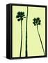 Palm Trees 2000 (Cyan)-Erik Asla-Framed Stretched Canvas