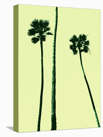 Palm Trees 2000 (Cyan)-Erik Asla-Stretched Canvas