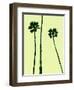 Palm Trees 2000 (Cyan)-Erik Asla-Framed Photographic Print