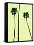 Palm Trees 2000 (Cyan)-Erik Asla-Framed Stretched Canvas