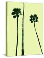 Palm Trees 2000 (Cyan)-Erik Asla-Stretched Canvas