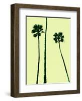 Palm Trees 2000 (Cyan)-Erik Asla-Framed Photographic Print