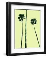 Palm Trees 2000 (Cyan)-Erik Asla-Framed Photographic Print