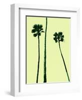 Palm Trees 2000 (Cyan)-Erik Asla-Framed Photographic Print