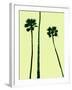 Palm Trees 2000 (Cyan)-Erik Asla-Framed Photographic Print