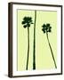 Palm Trees 2000 (Cyan)-Erik Asla-Framed Photographic Print