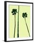 Palm Trees 2000 (Cyan)-Erik Asla-Framed Photographic Print