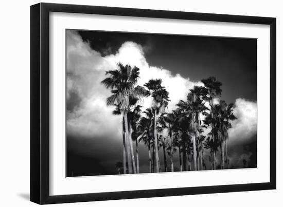 Palm Trees 2-Robert Seguin-Framed Art Print