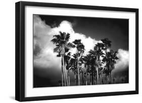 Palm Trees 2-Robert Seguin-Framed Art Print