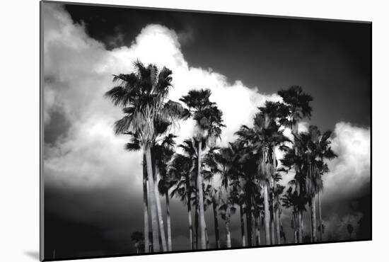 Palm Trees 2-Robert Seguin-Mounted Art Print